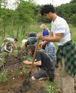 permaculture workshop