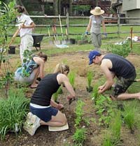 edible landscape